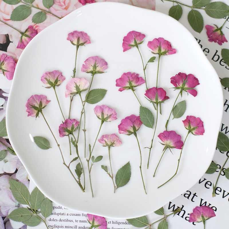 Resin Art Rose Petals - 12 قطعة، زهور وردية صغيرة حقيقية