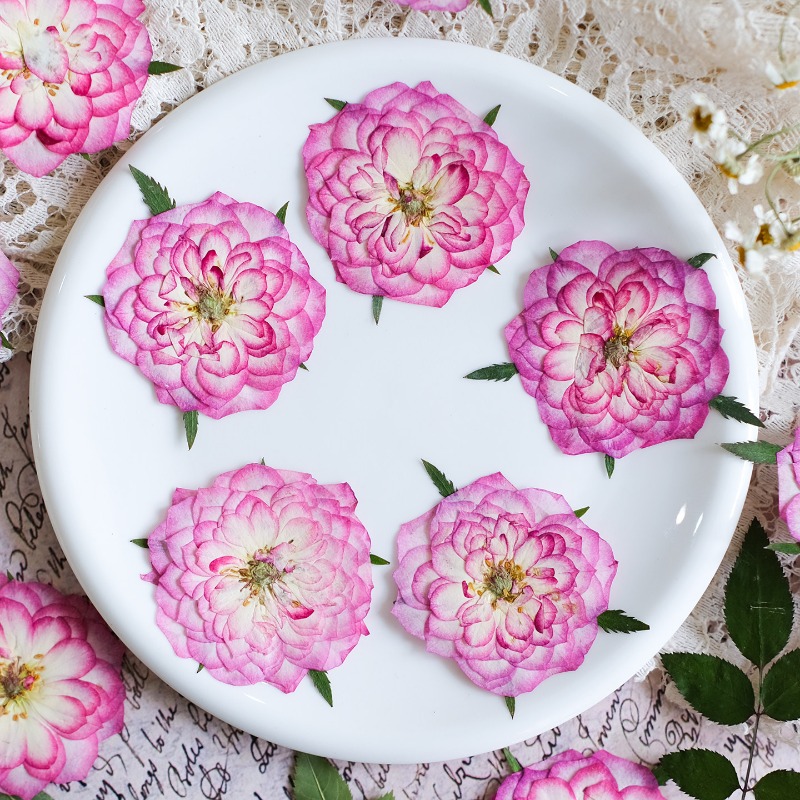 Resin Art Rose Petals - 6 قطع، زهور ورد و لوتس
