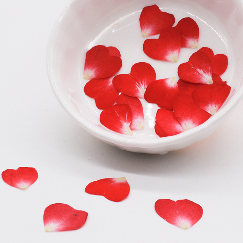 120 قطعة من بتلات الورد المختل - مراجعة Resin Art Rose Petals وسعره