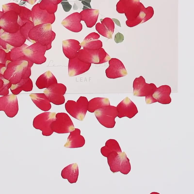 120 قطعة من بتلات الورد المختل - مراجعة Resin Art Rose Petals وسعره