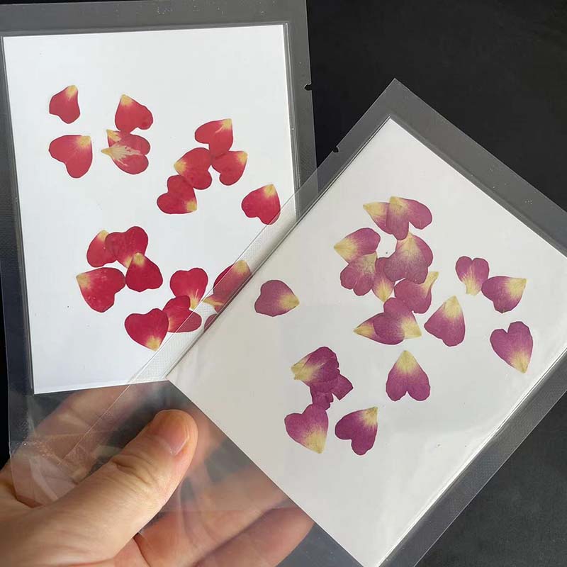 بتلات زهور مضغوطة طبيعية حقيقي - مراجعة Resin Art Rose Petals وسعره