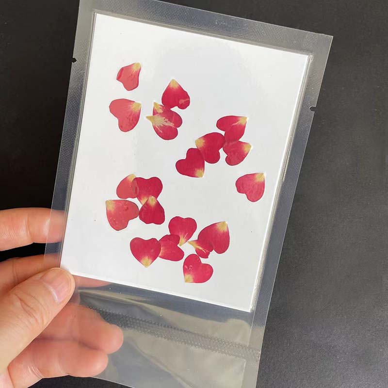 بتلات زهور مضغوطة طبيعية حقيقي - مراجعة Resin Art Rose Petals وسعره