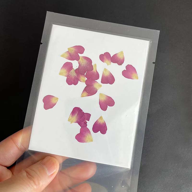 بتلات زهور مضغوطة طبيعية حقيقي - مراجعة Resin Art Rose Petals وسعره