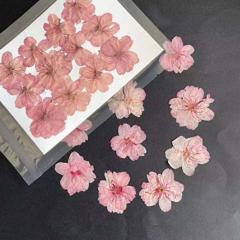 3-4.5 سنتيمتر/24 قطعة الطبيعية - مراجعة Resin Art Rose Petals وسعره