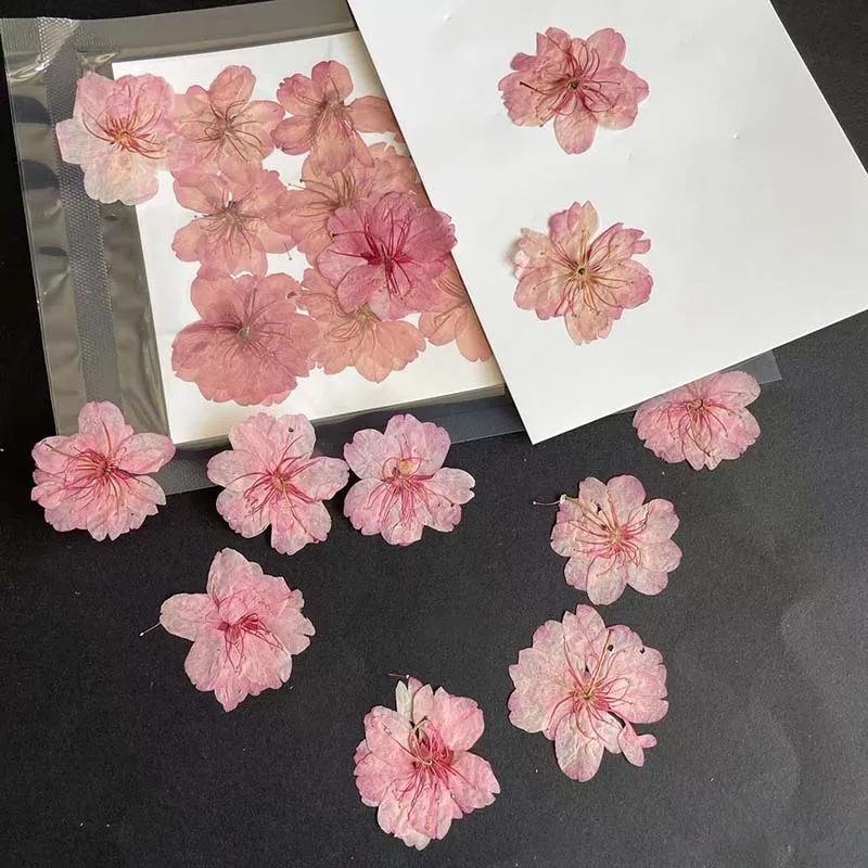 3-4.5 سنتيمتر/24 قطعة الطبيعية - مراجعة Resin Art Rose Petals وسعره